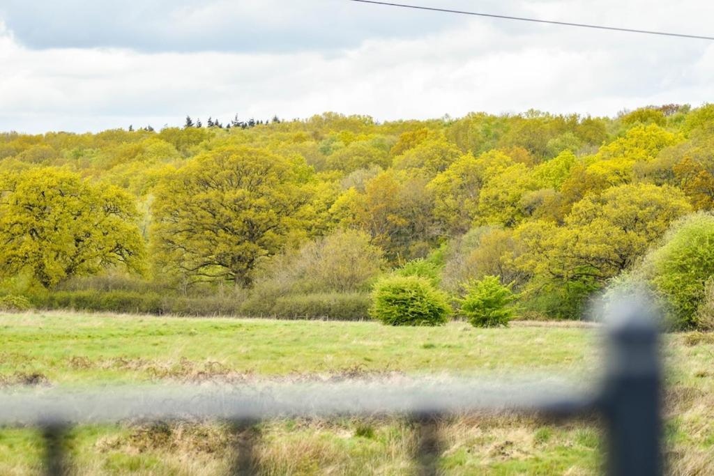 The Lookout At Cloatley Meadow Διαμέρισμα Hankerton Εξωτερικό φωτογραφία